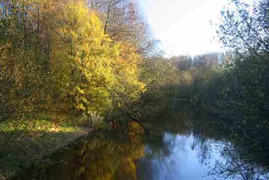 Herfsttinten-Bos Avondzon op de bomen<br><br> 2100_Herfst_Amsterdamse_Bos_Bovenkerk_2979.jpg