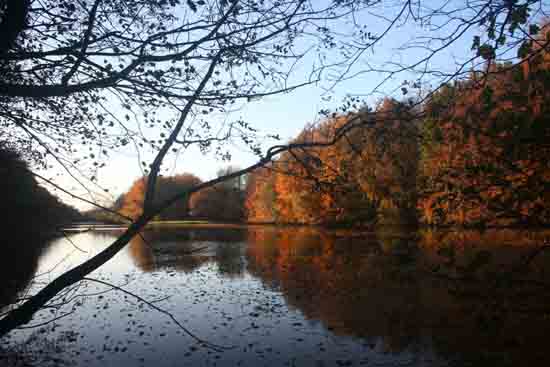 Herfsttinten-Bos Mooie weerspiegelingen in het water<br><br> 2150_Herfst_Amsterdamse_Bos_Bovenkerk_3005.jpg