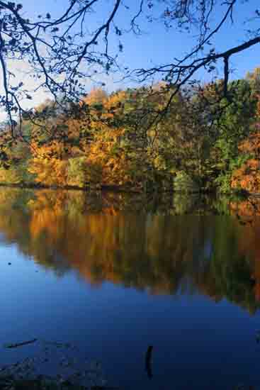 Herfsttinten-Bos Hersfsttinten in het Amsterdamse Bos<br><br> 2160_Herfst_Amsterdamse_Bos_Bovenkerk_3006ps.jpg