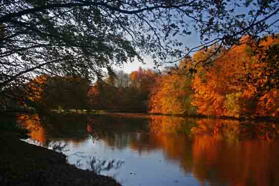 Herfsttinten-Bos Hersfsttinten in het Amsterdamse Bos<br><br> 2170_Herfst_Amsterdamse_Bos_Bovenkerk_3009.jpg