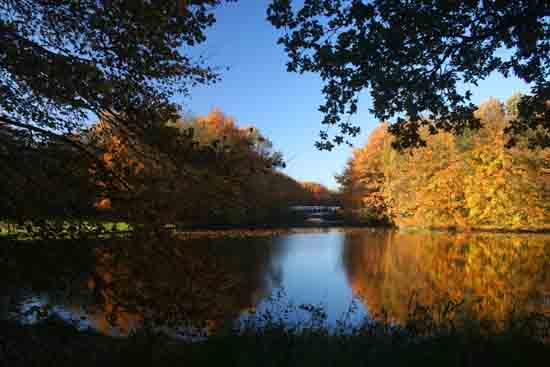 Herfsttinten-Bos Hersfsttinten in het Amsterdamse Bos<br><br> 2180_Herfst_Amsterdamse_Bos_Bovenkerk_3012.jpg