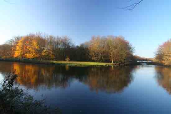 Herfsttinten-Bos Amsterdamse Bos bij ingang Bovenkerk<br><br> 2200_Herfst_Amsterdamse_Bos_Bovenkerk_3324.jpg