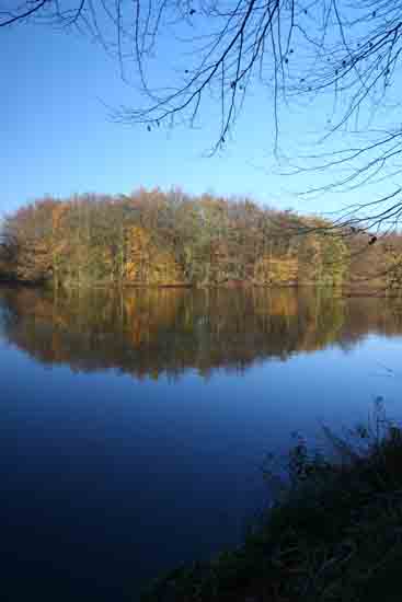 Herfsttinten-Bos Amsterdamse Bos bij ingang Bovenkerk<br><br> 2210_Herfst_Amsterdamse_Bos_Bovenkerk_3326.jpg