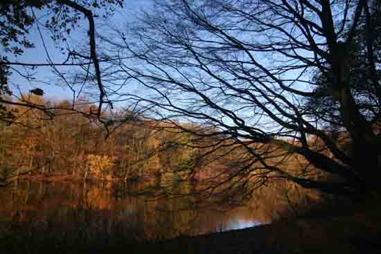 Herfsttinten-Bos Amsterdamse Bos bij ingang Bovenkerk<br><br> 2220_Herfst_Amsterdamse_Bos_Bovenkerk_3331.jpg