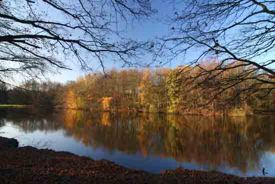 Herfsttinten-Bos Amsterdamse Bos bij ingang Bovenkerk<br><br> 2230_Herfst_Amsterdamse_Bos_Bovenkerk_3333.jpg