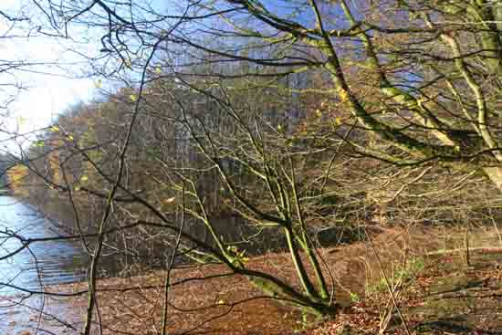 Herfsttinten-Bos Amsterdamse Bos bij ingang Bovenkerk<br><br> 2240_Herfst_Amsterdamse_Bos_Bovenkerk_3336.jpg