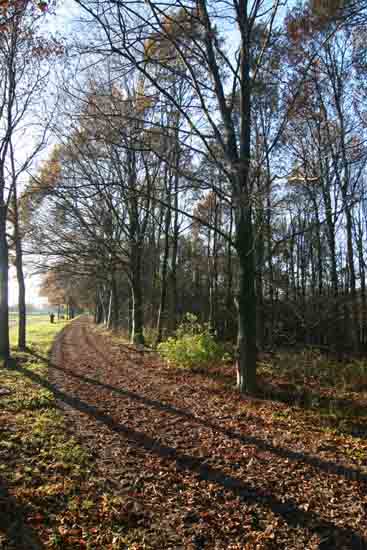 Kleine-Noord De Kleine Noord aan de rand van het Amsterdamse Bos<br><br> 2310_Kleine_Noord_3345.jpg