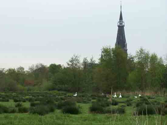 Kleine-Noord <br><br> 2340_Kleine_Noord_0770.jpg