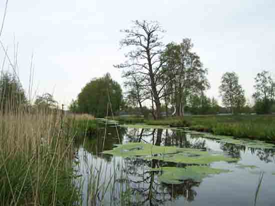 Kleine-Noord Prachtige oeverlanden bij de Amstelveense Poel<br><br> 2400_Kleine_Noord_0785.jpg