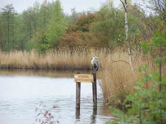 Kleine-Noord Natuurgebied<br><br> 2440_Kleine_Noord_0793.jpg