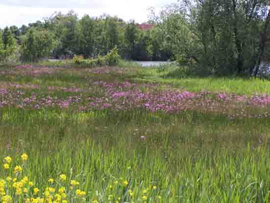 Kleine-Noord Mooi landschap bij en uitzicht op Bovenkerk<br><br> 2460_Kleine_Noord_1313.jpg