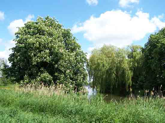 Kleine-Noord Mooi landschap bij en uitzicht op Bovenkerk<br><br> 2470_Kleine_Noord_1315.jpg