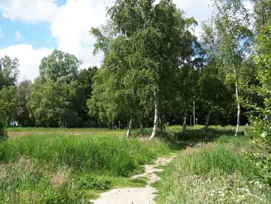 Kleine-Noord Toegangspad naar oeverlanden langs de Kleine Poel<br><br> 2540_Kleine_Noord_1339.jpg