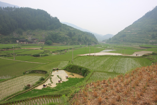 Shiqiao Shiqiao - Guizhou<br><br> 0180_1312.jpg