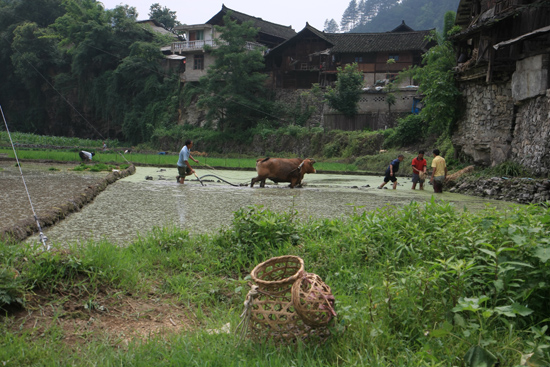 Shiqiao Shiqiao - Guizhou<br><br> 0230_1347.jpg