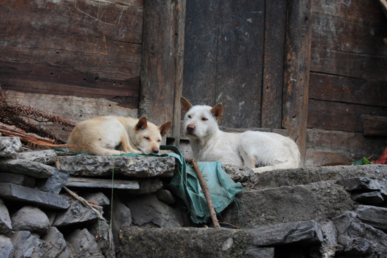 Datang Street life in Datang Korte rokjes Miao dorp - Guizhou<br><br> 0700_1605.jpg