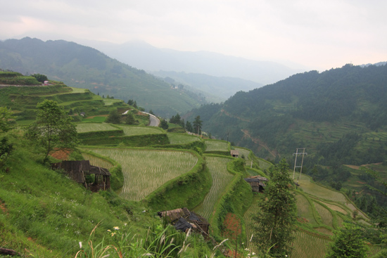 Datang Rijstterrassen op weg naar Rongjiang<br><br> 0740_1644.jpg