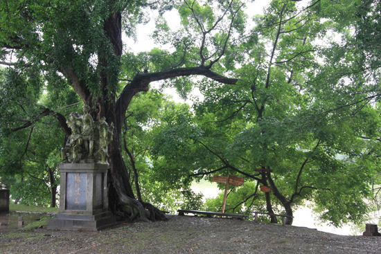 Sanboa Standbeeld van Zhu Feng en Lang Mei, de Romeo en<br>Julia van deze streek onder een 300 jaar oude banyan boom<br><br> 0870_1740.jpg