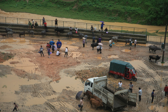 Rongjiang Veemarkt ergens tussen Rongjiang en Zhaoxing<br><br> 0900_1762.jpg