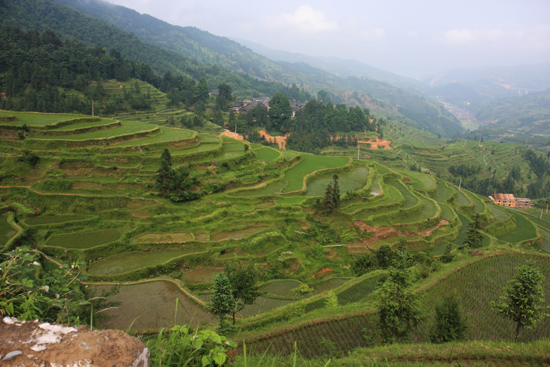 Tang_An Rijstterrassen boven aan de berg bij Tang An Dong village<br><br> 1060_1864.jpg