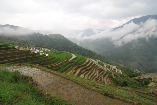 Longji Laaghangende bewolking tussen de bergen <br><br> 1790_2382.jpg