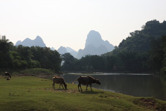 Yangshuo1 Schitterend landelijke omgeving na de Li rivier te hebben doorwaad<br><br> 1980_2489.jpg