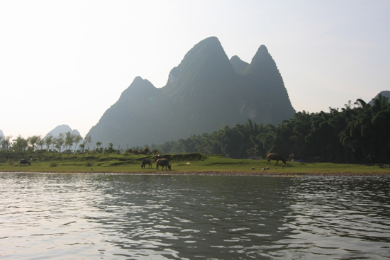 Yangshuo1 Boottocht op Li River - Yangshuo<br><br> 2010_2544.jpg