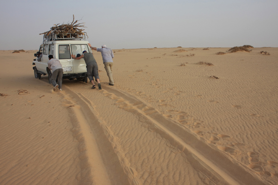 White-Desert Hulp van Sterke mannen !<br>The White Desert northeast of Farafra 0740-White-Dessert-near-Farafra-2518.jpg