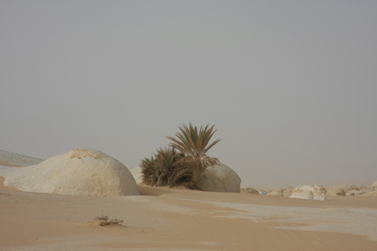 White-Desert Kalksteenformaties in The White Desert ten noordoosten van Farafra 0820-White-Dessert-near-Farafra-2592.jpg