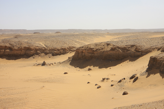 Farafra Sahara landschap 0890-Farafra-Sahara-2778.jpg