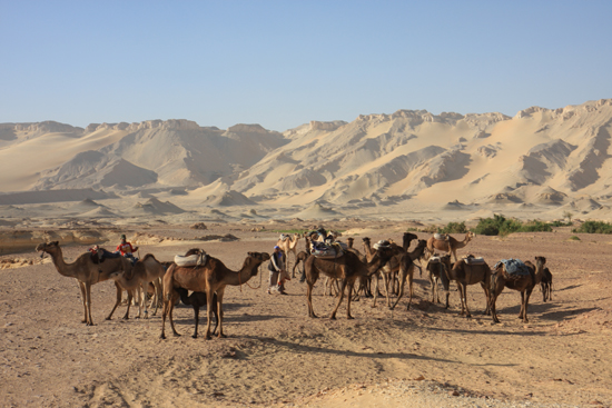 Mut Kamelensafari bij Mut 1010-Kameelsafari-bij-Mut-3087.jpg