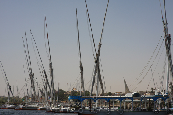 Elephantine1 Felucca's bij Elephantine Island 1670-Elephantine-Island-Felucca-3737.jpg