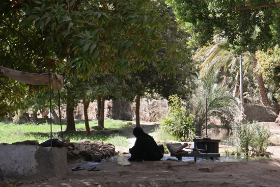 Elephantine2 Nubisch dorpje op Elephantine Island 1710-Elephantine-Island-Nubisch-dorp-3749.jpg