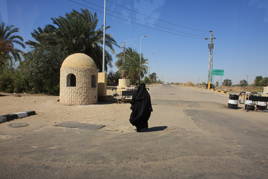 Edfu Plattelandsdorpje - streetlife 2020-Edfu-Temple-of-Horus-3991.jpg