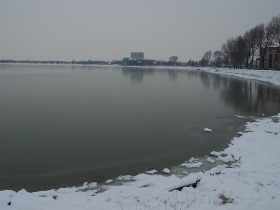 Min12 Prachtig ijs om te schaatsen op Hoornse Hop 370_4973.jpg