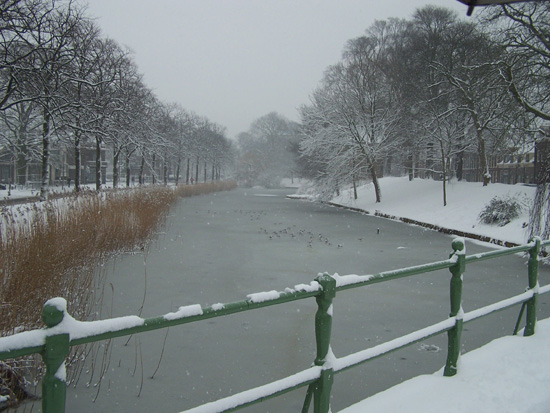 Hoornsneeuw Draafsingel 500_4754.jpg