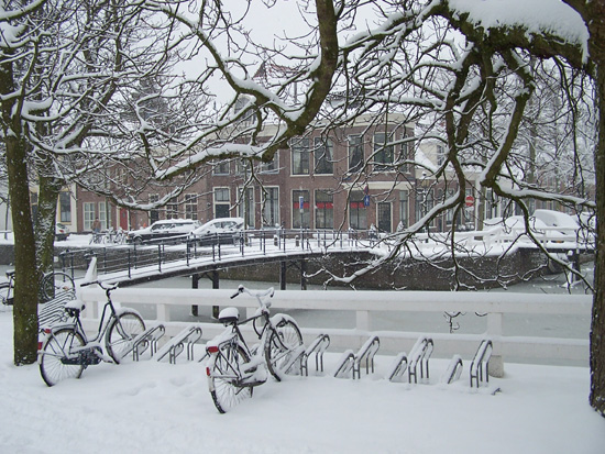 Hoornsneeuw Oude Munniksveld 510_4757.jpg