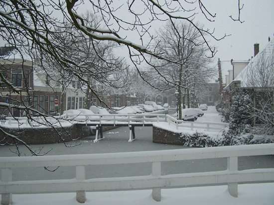 Hoornsneeuw Oude Munniksveld 520_4758.jpg