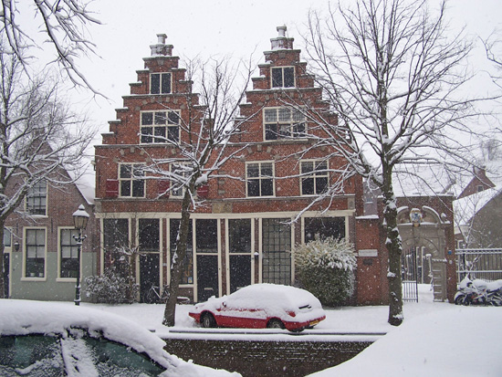 Hoornsneeuw Oude Munniksveld 540_4761.jpg