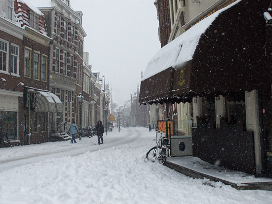 Hoornsneeuw Grote Oost 600_4781.jpg