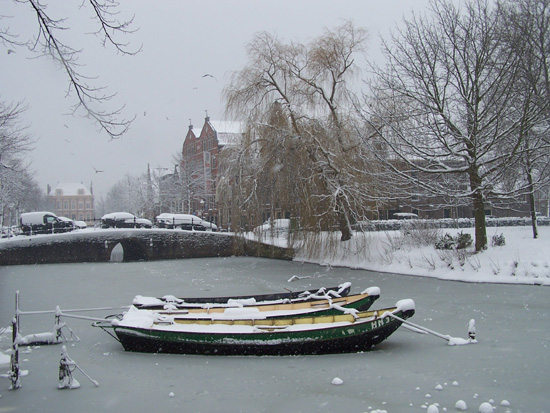 Hoornsneeuw Draafsingel 640_4786.jpg