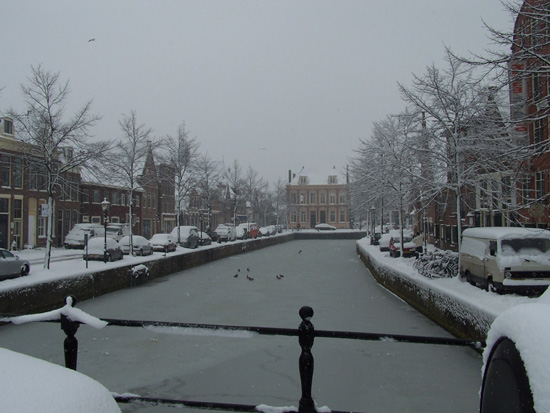 Hoornsneeuw Draafsingel 650_4788.jpg