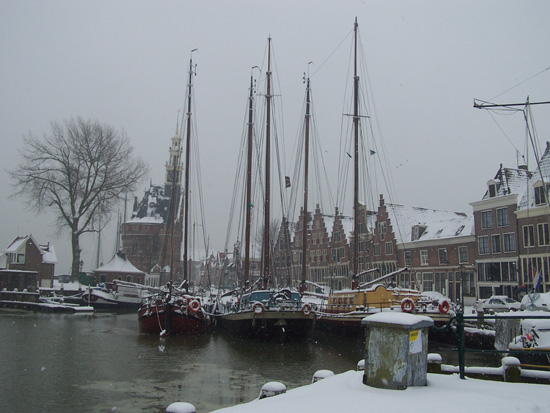 Hoornsneeuw Haven Hoorn 660_4790.jpg