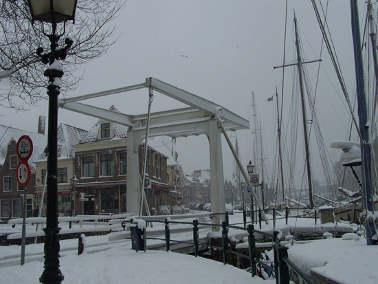 Hoornsneeuw Haven Hoorn 680_4794.jpg