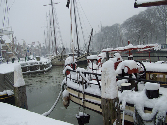 Hoornsneeuw Haven Hoorn 690_4795.jpg