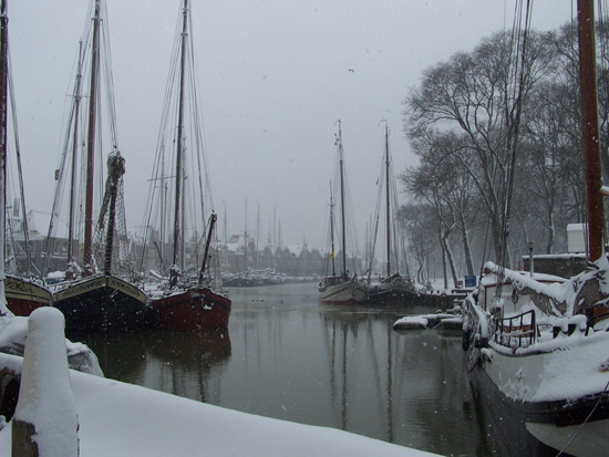 Hoornsneeuw Haven Hoorn 700_4798.jpg