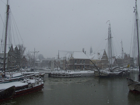 Hoornsneeuw Haven Hoorn 730_4803.jpg