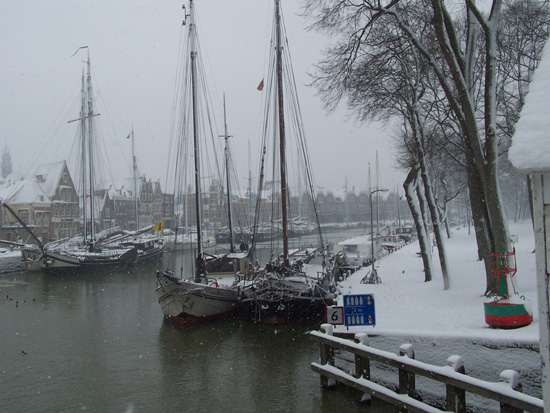 Hoornsneeuw Haven Hoorn 740_4805.jpg