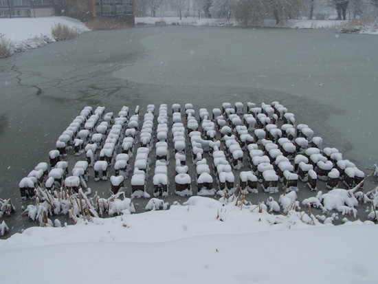 Hoornsneeuw Julianapark 760_4807.jpg