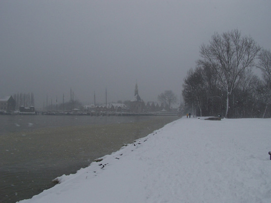 Hoornsneeuw Julianapark 780_4811.jpg